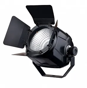 Светодиодный стационарный прожектор типа PAR - Exell Lighting EXLPARCOB100